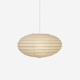 Orin Frost Metal Pendant Light by Maison Velume