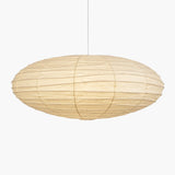 Orin Frost Metal Pendant Light, detail view 23