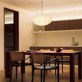 Orin Frost Metal Pendant Light, detail view 9