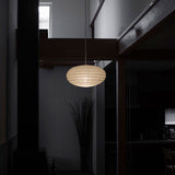 Orin Frost Metal Pendant Light, detail view 12