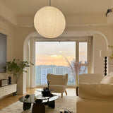 Sable Terra Iron Pendant Light, detail view 27