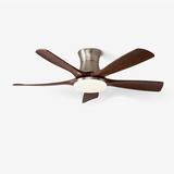 Amara Shade Acrylic Ceiling Fan by Maison Velume