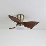 Wren Sky Acrylic Ceiling Fan, detail view 7