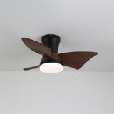 Wren Sky Acrylic Ceiling Fan, detail view 8