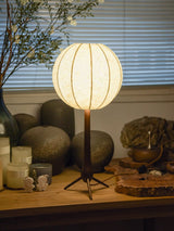 Celine Mist Wood Table Lamp, detail view 11