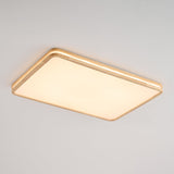 Elian Haven Wood Ceiling Light, detail view 32