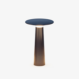 Niven Bay Metal Outdoor Light