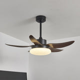 Orin Dawn Acrylic Ceiling Fan, detail view 2