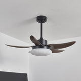Orin Dawn Acrylic Ceiling Fan, detail view 5