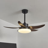 Orin Dawn Acrylic Ceiling Fan, detail view 6