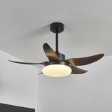 Orin Dawn Acrylic Ceiling Fan, detail view 7