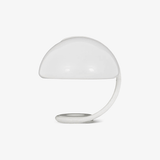 Vian Juniper Acrylic Table Lamp, detail view 17
